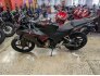 2022 Honda CBR300R ABS for sale 201306239