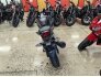 2022 Honda CBR300R ABS for sale 201306239