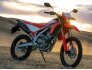 2022 Honda CRF300L ABS for sale 201321953