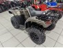 2022 Honda FourTrax Foreman Rubicon 4x4 EPS for sale 201233678