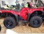 2022 Honda FourTrax Foreman Rubicon 4x4 Automatic DCT EPS Deluxe for sale 201304529