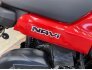 2022 Honda Navi for sale 201277796