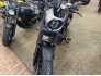 2022 Honda Rebel 500 Special Edition ABS for sale 201381006