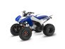 2022 Honda TRX250X for sale 201273474