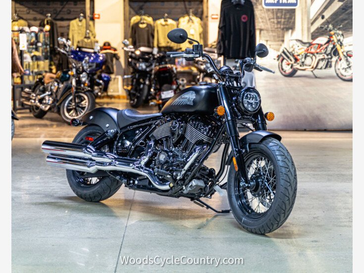 Thumbnail Photo undefined for New 2022 Indian Chief