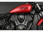 Thumbnail Photo 5 for New 2022 Indian Chief