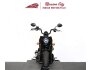 2022 Indian Chief for sale 201051689
