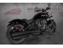 2022 Indian Chief for sale 201191013