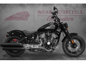 New 2022 Indian Chief