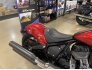 2022 Indian Chief for sale 201295643