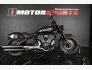 2022 Indian Chief for sale 201409938