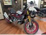 2022 Indian FTR 1200 Limited Edition for sale 201333734