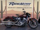 Thumbnail Photo 0 for 2022 Indian Scout ABS