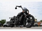 Thumbnail Photo 24 for New 2022 Indian Scout