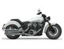 2022 Indian Scout for sale 201210407