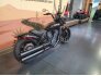 2022 Indian Scout Bobber Rogue w/ ABS for sale 201305174