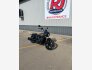 2022 Indian Scout Bobber Rogue w/ ABS for sale 201316981