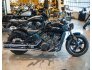2022 Indian Scout for sale 201318624