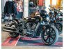 2022 Indian Scout for sale 201319666