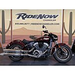 2022 Indian Scout ABS for sale 201320728