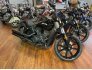2022 Indian Scout Bobber Rogue w/ ABS for sale 201321870