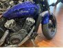 2022 Indian Scout for sale 201321876