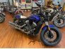 2022 Indian Scout for sale 201321876