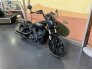 2022 Indian Scout Bobber Rogue w/ ABS for sale 201328848