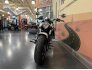 2022 Indian Scout ABS for sale 201345197