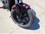 2022 Indian Scout Bobber for sale 201375822