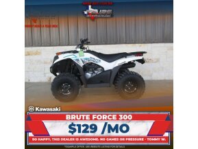 New 2022 Kawasaki Brute Force 300