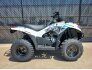 2022 Kawasaki Brute Force 300 for sale 201225562