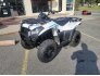 2022 Kawasaki Brute Force 300 for sale 201299589