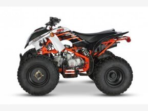 2022 Kayo Storm 150 for sale 201216346