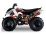 2022 Kayo Storm 150 for sale 201232265