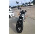 2022 Royal Enfield INT650 for sale 201279432