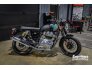 2022 Royal Enfield INT650 for sale 201349434