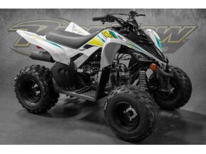 2022 Yamaha Raptor 90 for sale 201190211