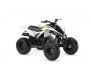 2022 Yamaha Raptor 90 for sale 201280904