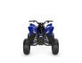 2022 Yamaha Raptor 90 for sale 201281068