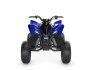 2022 Yamaha Raptor 90 for sale 201304063