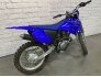 2022 Yamaha TT-R230 for sale 201312342