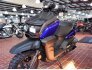 2022 Yamaha Zuma 125 for sale 201247876