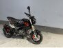 2023 Benelli TNT 135 for sale 201392479