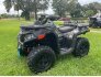 2023 CFMoto CForce 600 Touring for sale 201303266