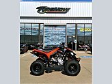 2023 Can-Am DS 250 for sale 201511735