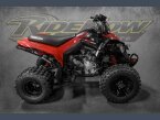 Thumbnail Photo 1 for 2023 Can-Am DS 250