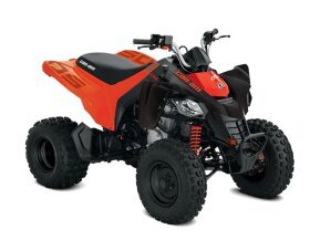 2023 Can-Am DS 250 for sale 201331581
