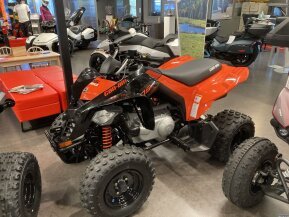 2023 Can-Am DS 250 for sale 201423286