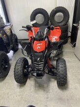 2023 Can-Am DS 250 for sale 201443361